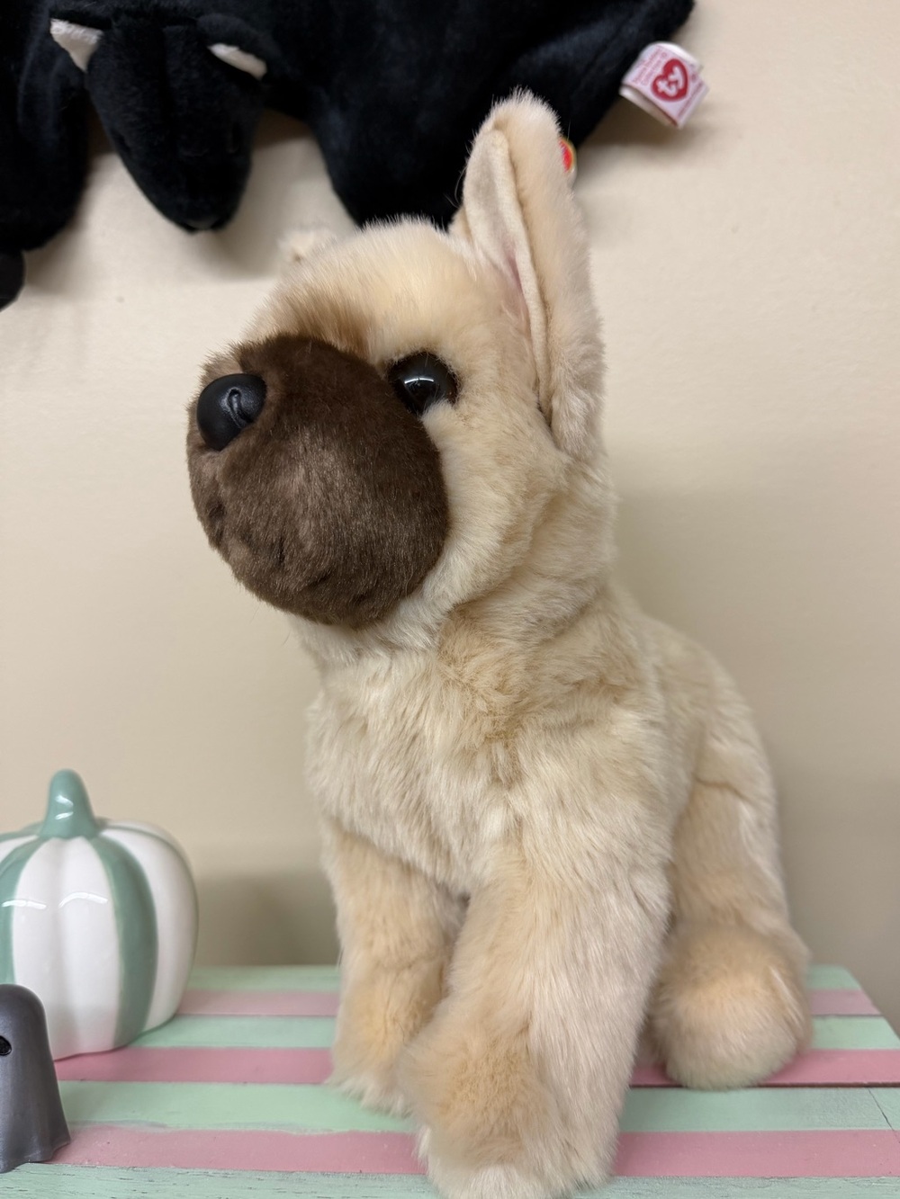 Douglas French Bulldog